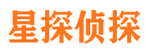 临武市调查公司